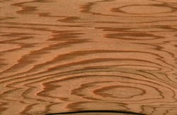 Western red cedar