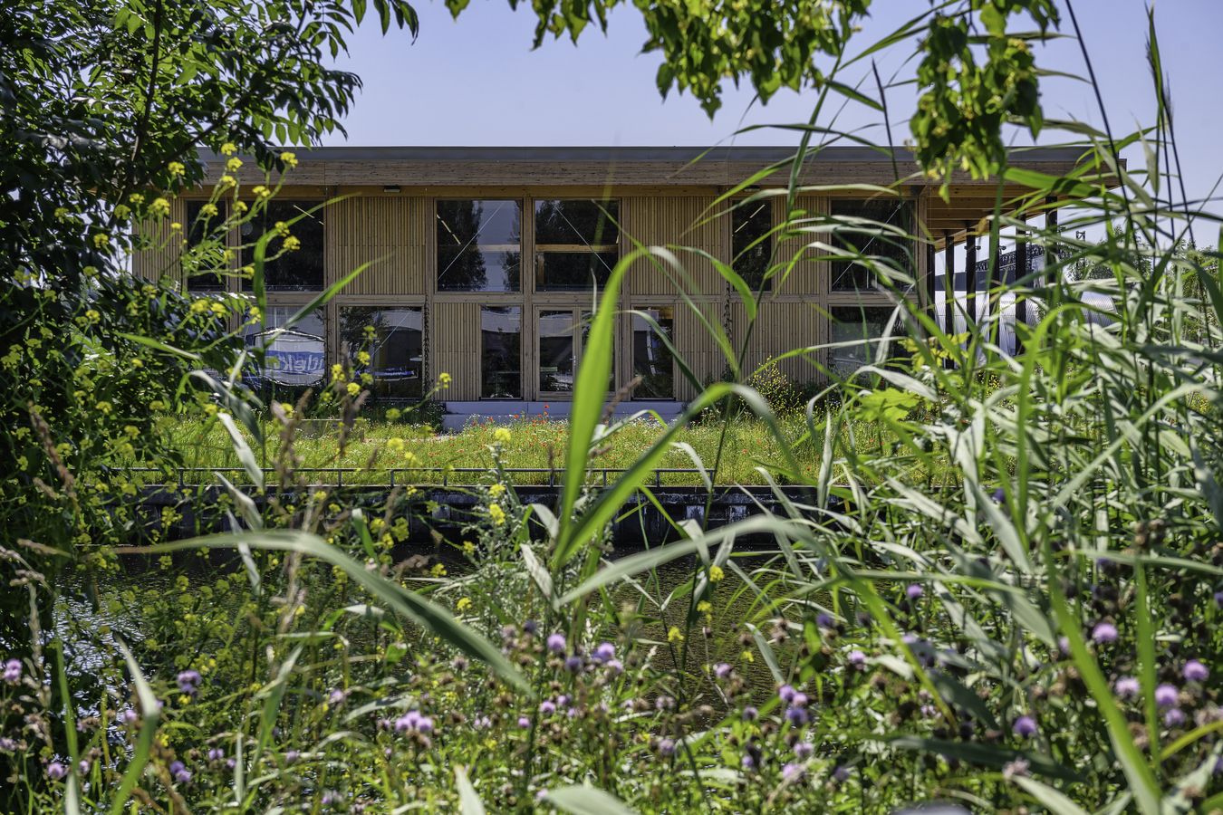 Energiehub Groningen