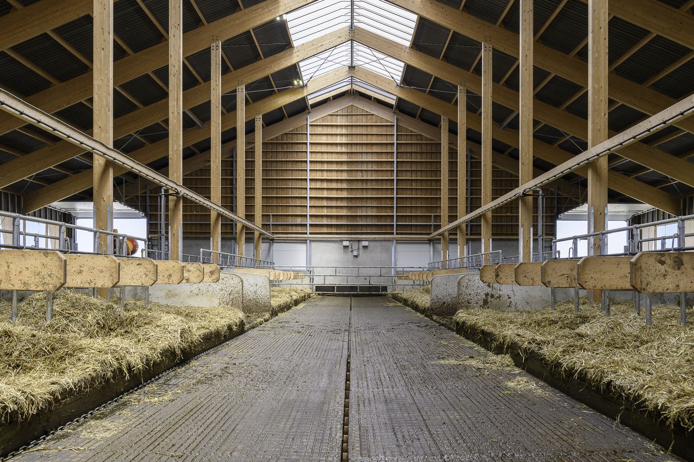 Wigboldus Garmerwolde